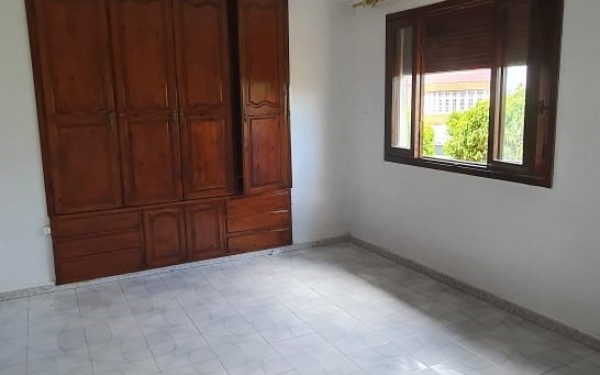 02-randome-62b98f517105c