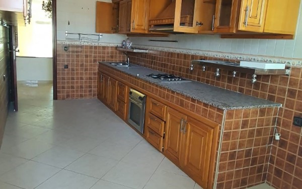 03-randome-62b999570c631